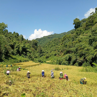 <a href="/tin-tuc-su-kien/thong-tin-kinh-te" title="Thông tin kinh tế" rel="dofollow">Kinh tế - Chính trị</a>